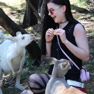 Meet your Posher, Claudia